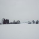 노이민박 이미지