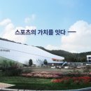 스포츠가치센터 이미지