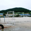 보길동초등학교 이미지