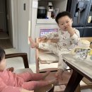 은보