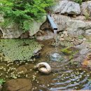 정봉기 아뜰리에 이미지