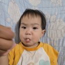 (주)우리약품 | 안국약품 핑크퐁 아기상어 키즈 튼튼 프로폴리스 아연 체험단 후