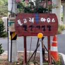 돌고래펜션야영장 이미지
