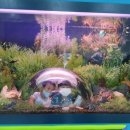 부산어촌민속관 이미지