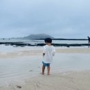 서쪽아이 이미지