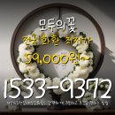 서산현대서비스 | 꽃배달 생화 선물 신속 배송 모두의꽃 여러개 근조화환 서산의료원장례식장화환