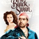 Black Swan 이미지