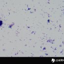 신세계 동물병원 이미지