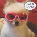 밴쿠버 잡 구하기 - 리테일, 오피스잡, 지상직(항공)