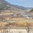 코코펜션 | 밀양펜션 [코코앤망고] 밀양 반려견 동반 펜션 후기 온수풀 감성 숙소 만족 후기