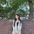 예인 이미지