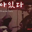 살아있다 Breathe lively 이미지