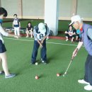 게이트볼 이미지