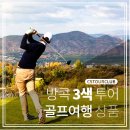 씨에스투어 - 당진시 정안로 20 | 씨에스투어