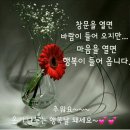 행복찾기 - 춘천시 후만로98번길 16-1 | 행복찾기