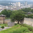 이흥우「난」 이미지