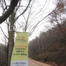 대전 계족산 등산(장동산림욕장-황톳길 종주-계족산성-계족산-장동산림욕장)_1 이미지