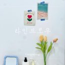 주정차-55 | 강릉속눈썹펌 라인브로우 후기 자연스럽고 또렷한 눈매 완성!
