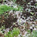 거창-북상-6 이미지