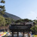 부산 이미지