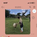 당플