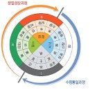 인체 - 리듬 Daum카페