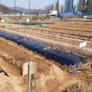 윤호농장 이미지