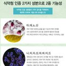 매직플라워 네이버블로그