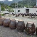 한가 정통 어죽 | 포천 산정호수 주변 맛집 추천 한가정통어죽 내돈내산 후기