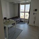 뉴훼밀리 1차 오피스텔 | [정보]청년안심주택 당첨 후기(당첨 팁/랜선 집들이/이사 예산)