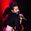 허니팝