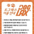 도그렉스 이미지