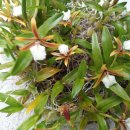 영월우체국 이미지