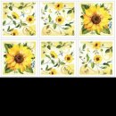 해바라기유치원(어린이집) 이미지