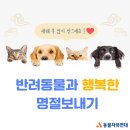 송정동 548-28 ∼ 548-10 (현대아파트 ↔ 크로바쇼핑) | 반려동물과 행복한 명절나기