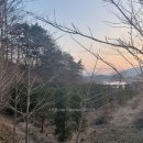 느티나무농장 이미지