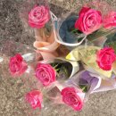 입암초교병설유치원 이미지