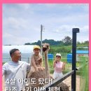 튼튼농장 | 경남 아이와 가볼만한 곳ㅣ헤이리치 타조농장 후기 (먹이주기, 타조타기 체험, 가이드투어)