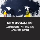 장마철 곰팡이 제거 꿀팁! 베이킹소다 식초 비율 완벽 정리