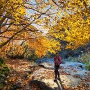 함박마을좌측입구 | 영남알프스 가을_주암계곡 단풍과 주계바위 &#39;25.11.9(일)