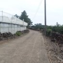 토산초등학교