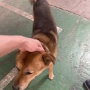 똘이PC방 이미지