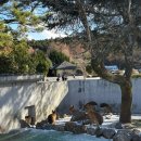 클로버렌트카 | 두돌아기랑 일본여행(4)-벳푸, 아프리칸 사파리의 A to Z. 렌트카 이용후기/ 관람료, 레스토랑, 기념품샵🦏