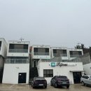 마래 이미지