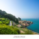 바람의 언덕 이미지