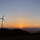 내곡동 | 강릉토박이돼지국밥 얼큰항정국밥 후기｜내곡동 현지인 점심 맛집 추천