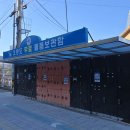 오동도 | 여수 오동도 여행 후기｜여수 가볼 만한 곳 추천 산책코스&amp; 동백꽃 개화 현황