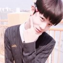 그레이101