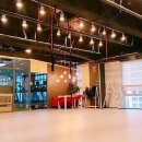 DH웰리스 이미지