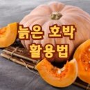 호박 이미지